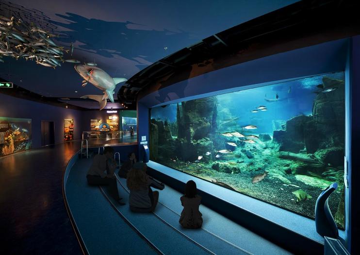 Istanbul Aquarium (Istanbul Akvaryum)